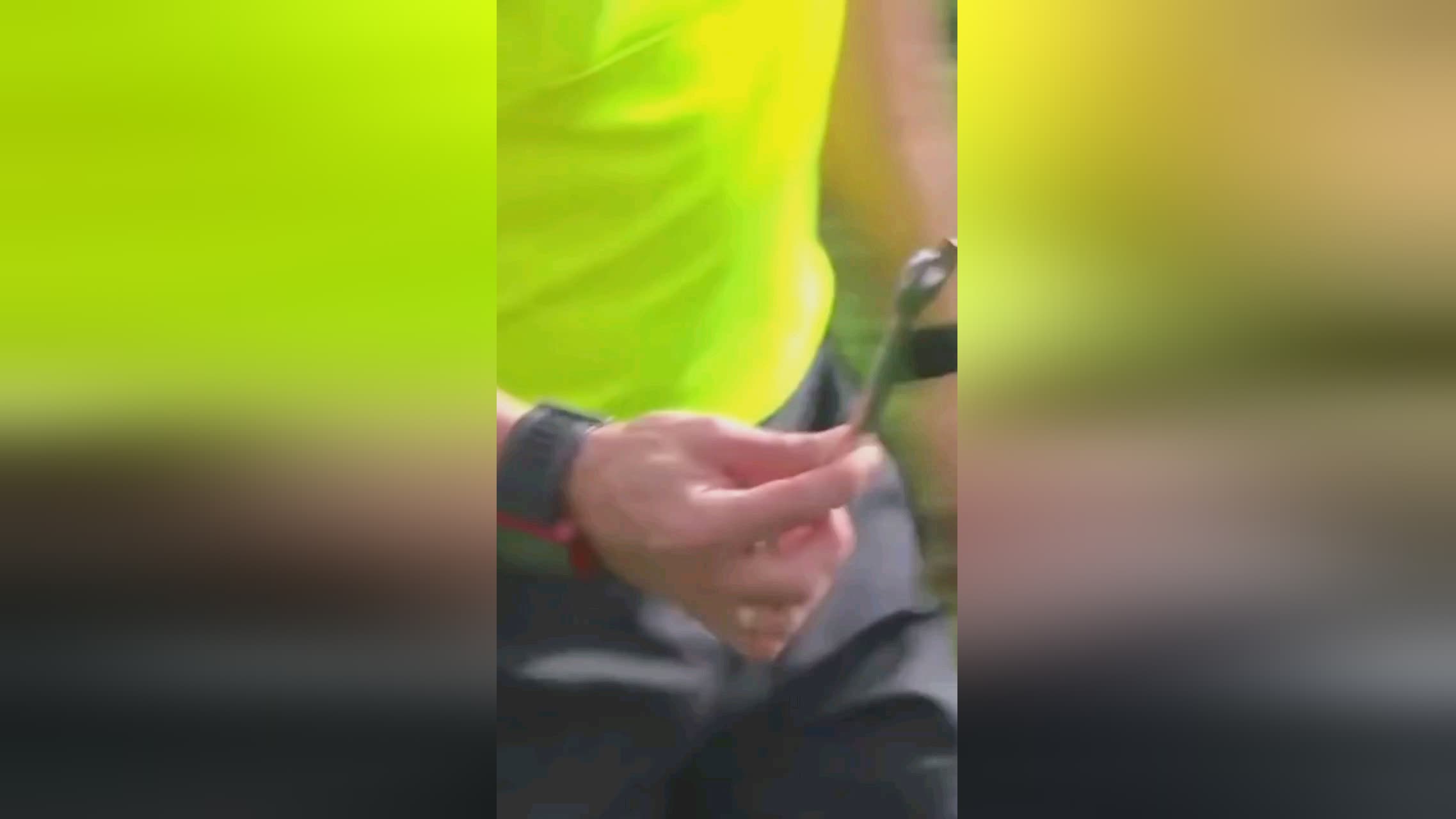 正用实际